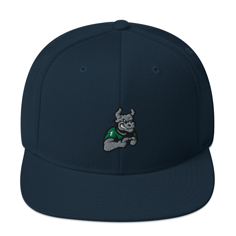 USF Esports | Street Gear | Embroidered Snapback Hat Back Text