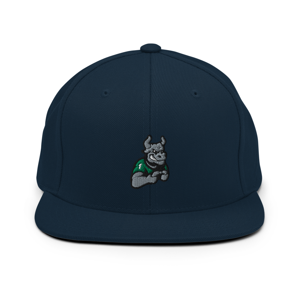 USF Esports | Street Gear | Embroidered Snapback Hat