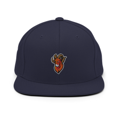 Upper Sandusky | On Demand | Embroidered Snapback Hat