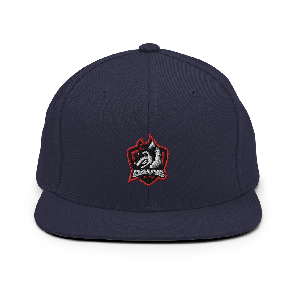 Davis Public Schools | On Demand | Embroidered Snapback Hat