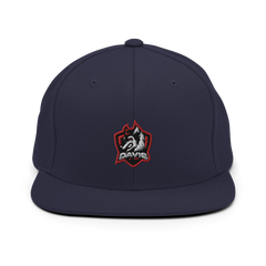 Davis Public Schools | On Demand | Embroidered Snapback Hat