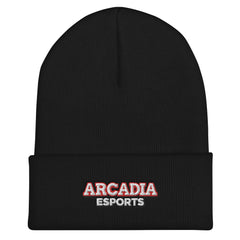 Arcadia Knights Esports | Street Gear | [Embroidered] Cuffed Beanie