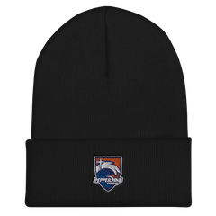 Pepperdine Esports | Street Gear | [Embroidered] Cuffed Beanie