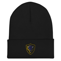 Buffalo HS | On Demand | Embroidered Cuffed Beanie