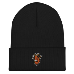 Upper Sandusky | On Demand | Embroidered Cuffed Beanie