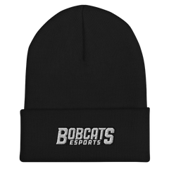 Bryant Stratton Rochester | On Demand | Embroidered Cuffed Beanie