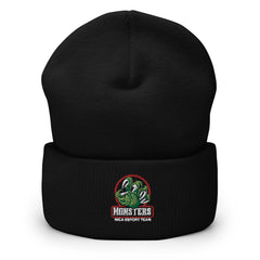 Michigan Connections Academy Cuffed Beanie