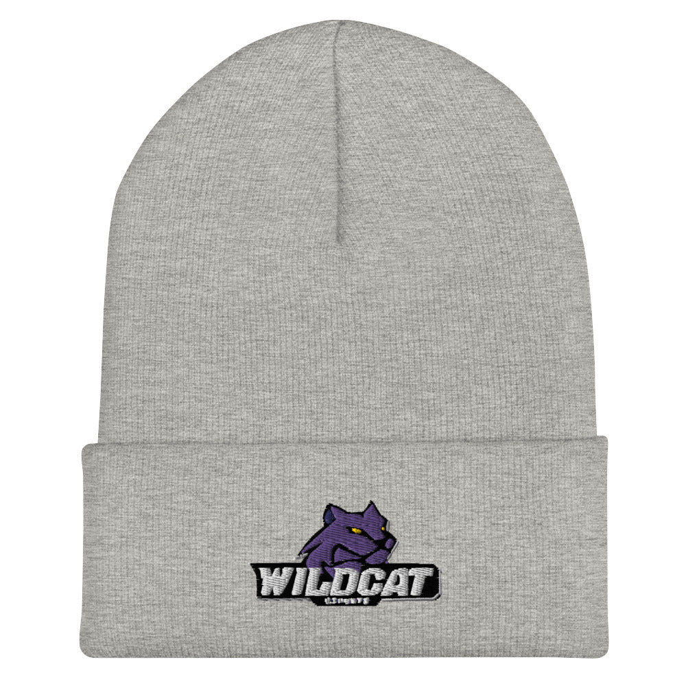 Blue Springs High School| On Demand | Embroidered Cuffed Beanie