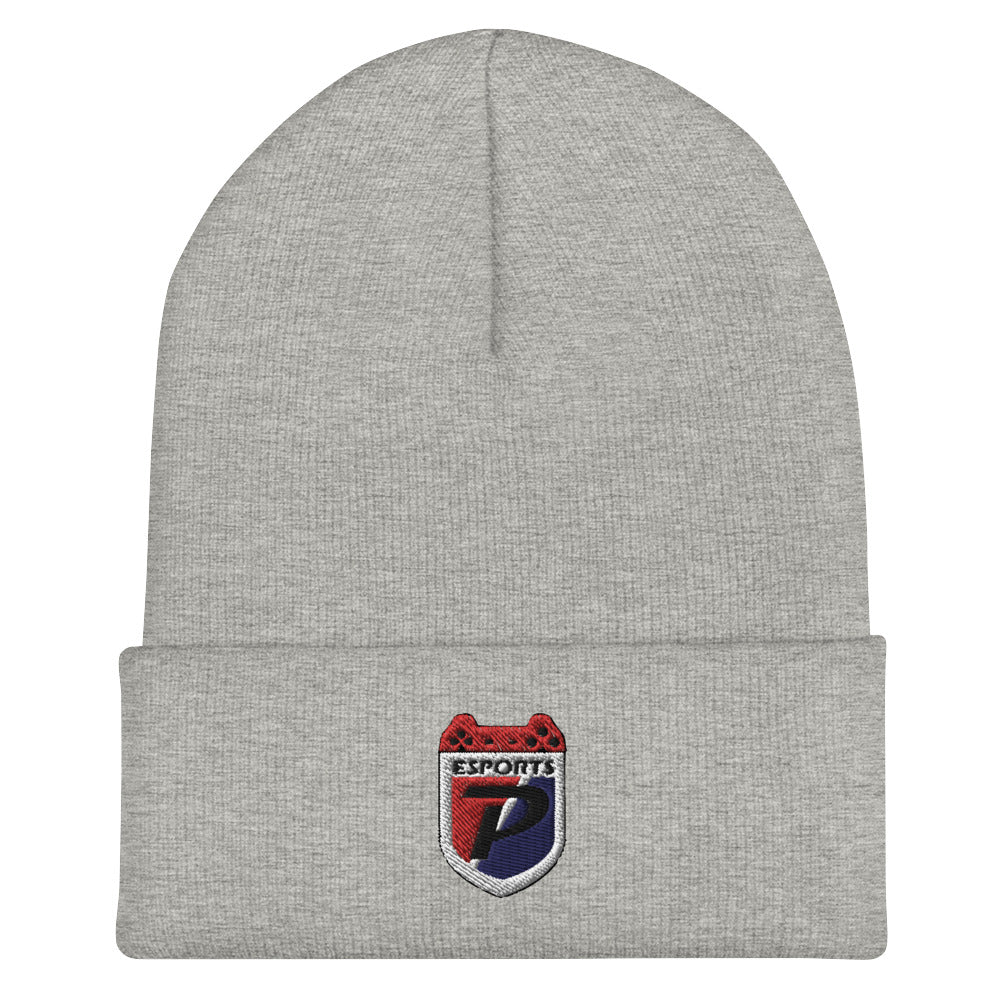 Plainfield High School | On Demand | Embroidered Cuffed Beanie
