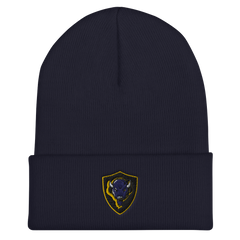Buffalo HS | On Demand | Embroidered Cuffed Beanie