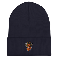 Upper Sandusky | On Demand | Embroidered Cuffed Beanie