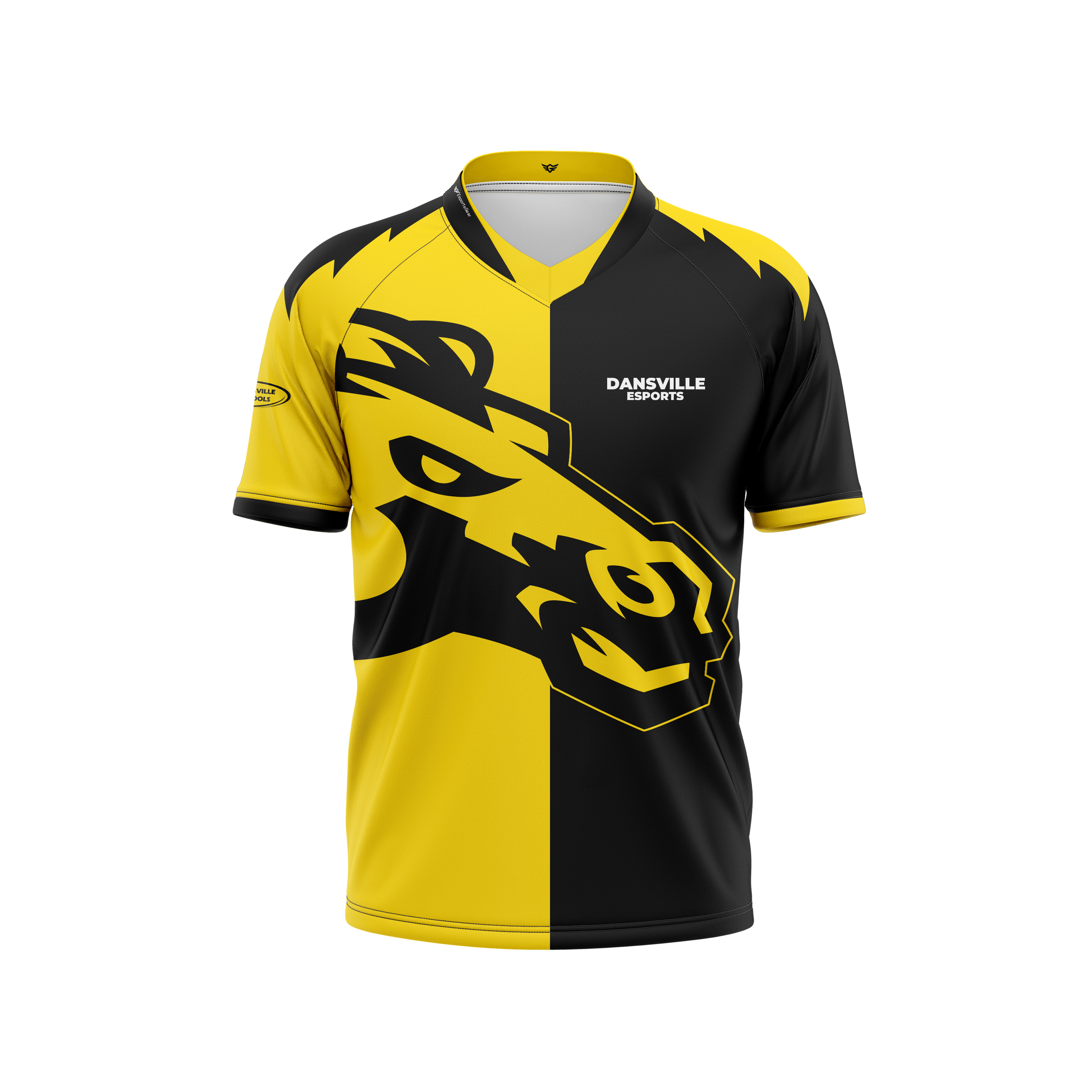 Dansville High School Jersey
