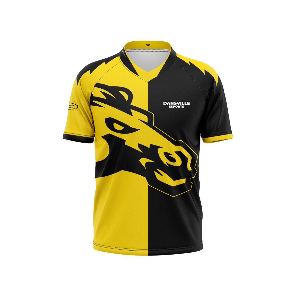 Dansville High School Jersey