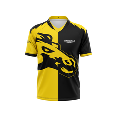 Dansville High School Jersey