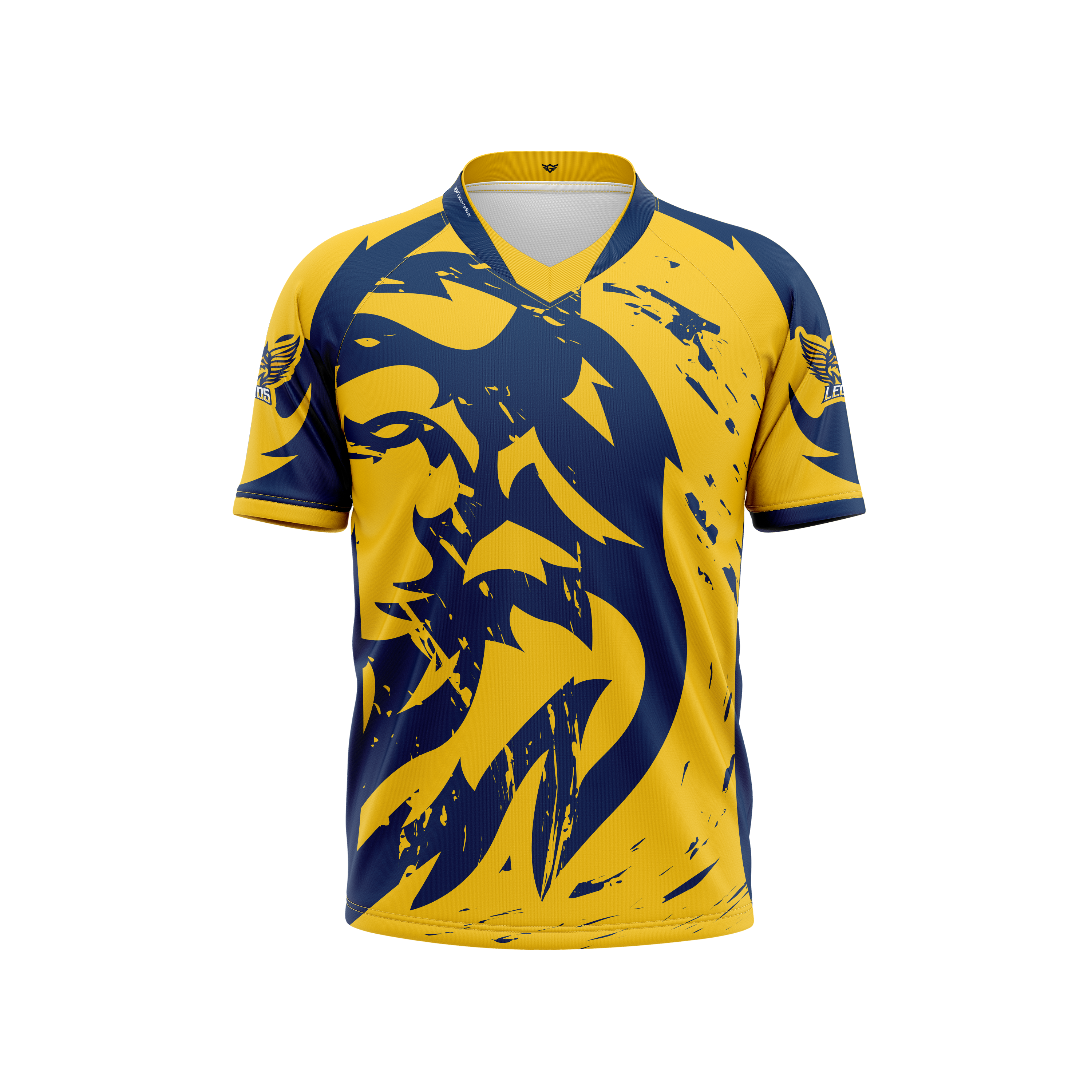 Birdville CTAL Jersey