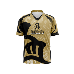 Farmington High School Mo. Jersey