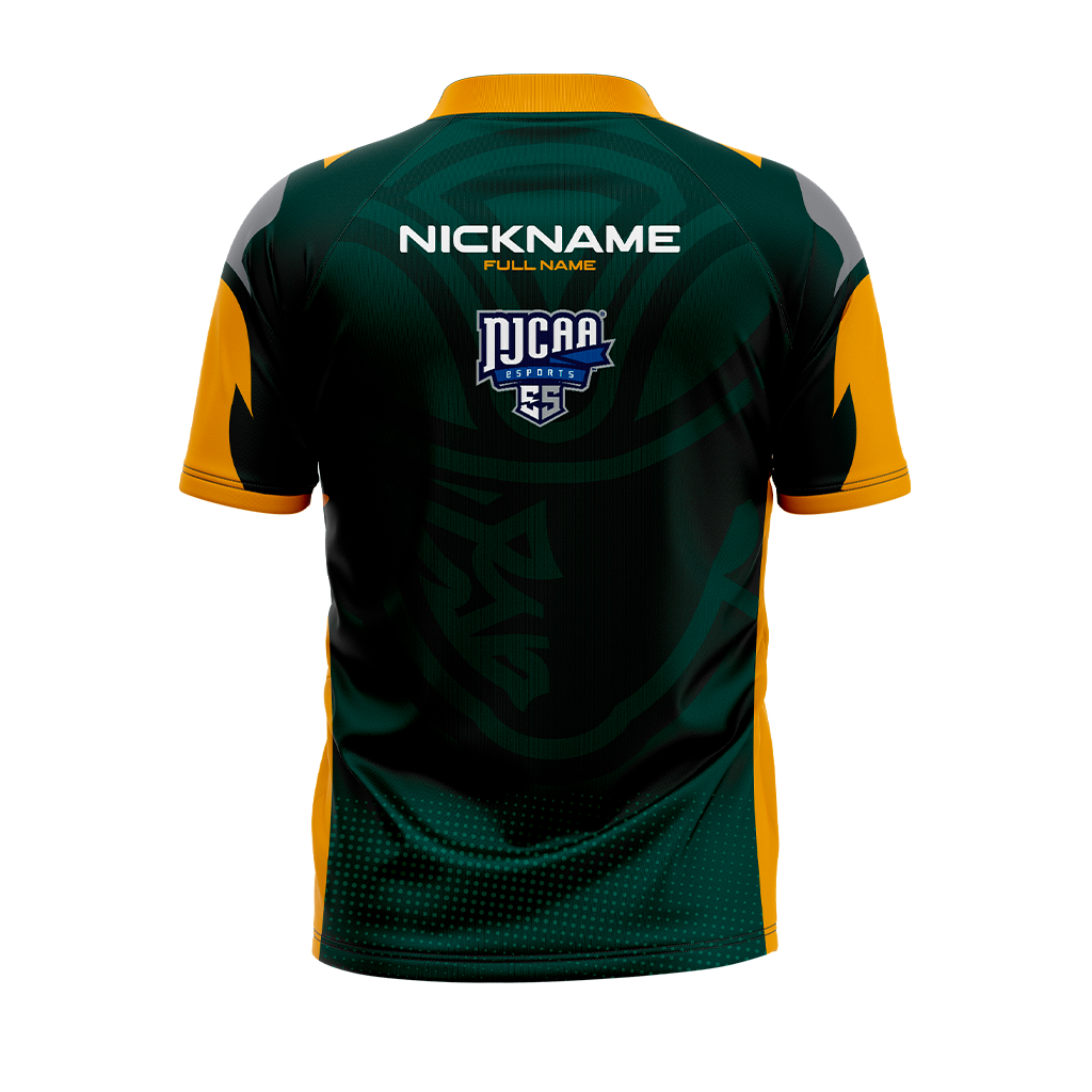 Herkimer County Esports Jersey