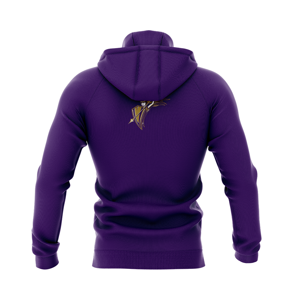 Campus Colors NCAA Unisex Gameday Hoodie | Long Sleeve Arch Logo Pullover (Washington State Cougars, Cardinal, Medium)