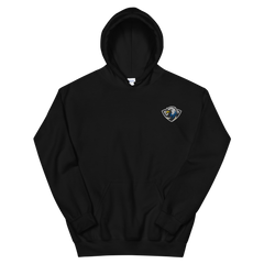 ERAU Esports | On Demand | Embroidered Unisex Hoodie