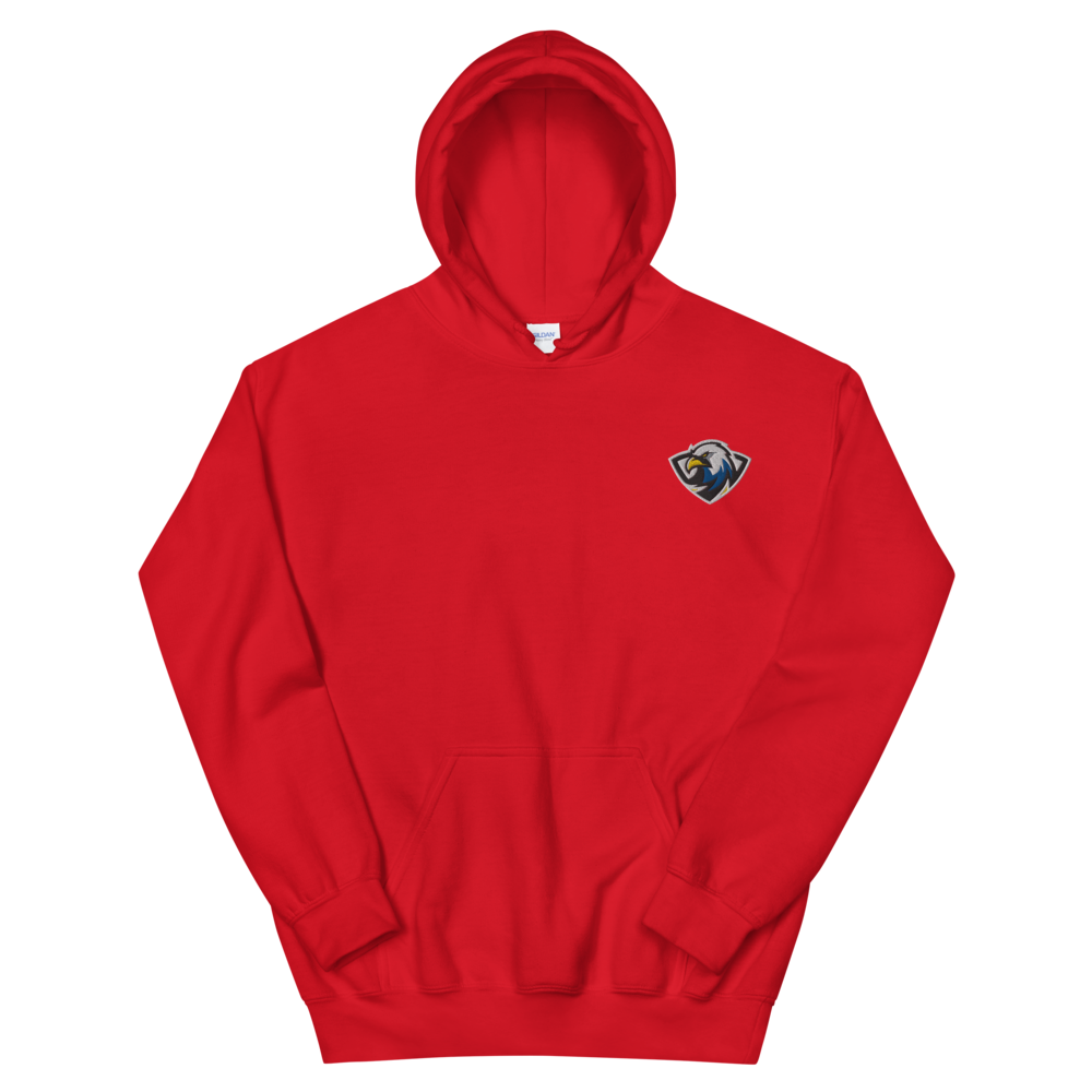 ERAU Esports | On Demand | Embroidered Unisex Hoodie