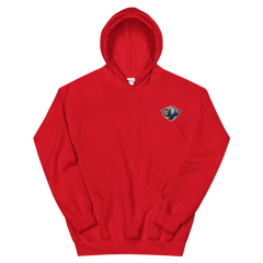 ERAU Esports | On Demand | Embroidered Unisex Hoodie